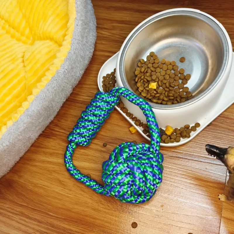 ຮຸກຮານ Chewers Rope Toys1