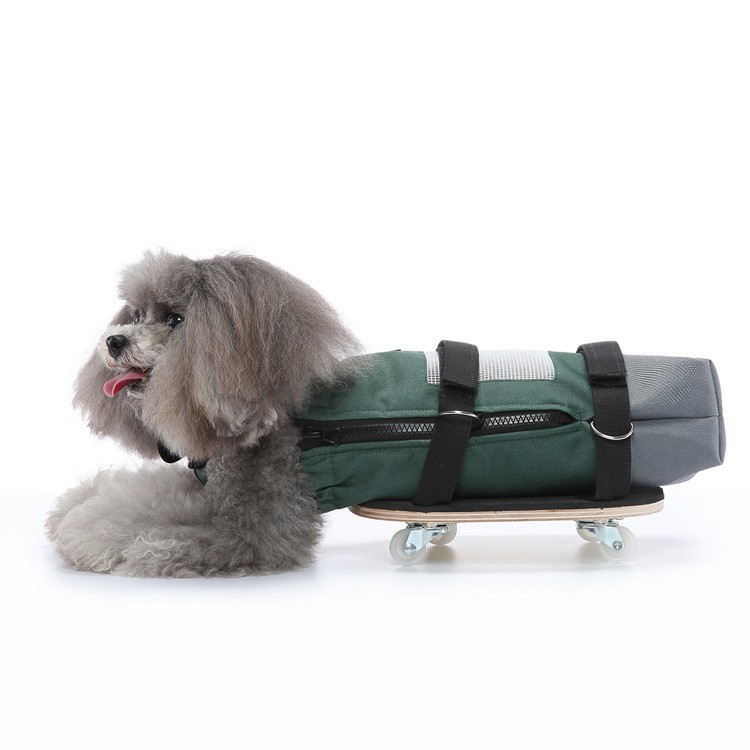 Pet Walking Aid ຄົນພິການ Skateboard