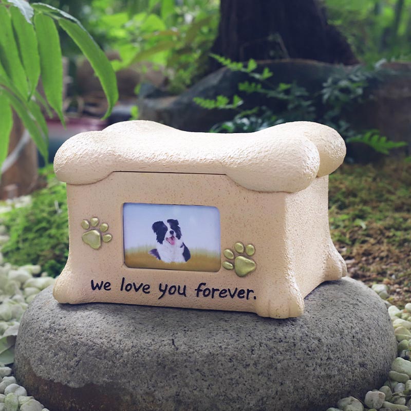 Resin Pet Memorial Urn ມີກອບຮູບ